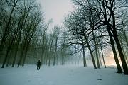 Myst