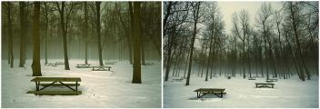 Deserted picnic area