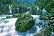 Little paradise