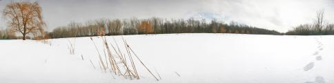 Parc Angrignon - Winter
