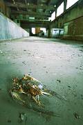 This place is dead