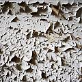 Decay