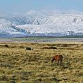 Iceland Landscape
