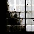 Prisoner
