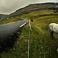Faroe Islands: Old viking farm
