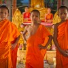 IMG_4379