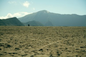 IMG_6537web