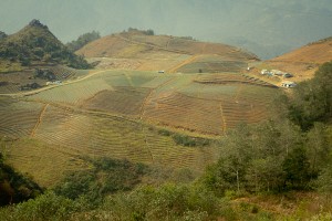 IMG_1732