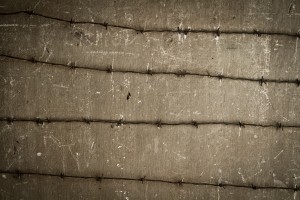 IMG_4144